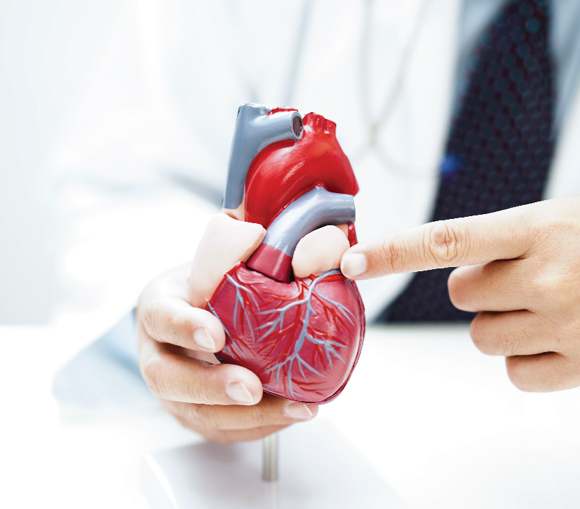 Diagnostic Cardiology